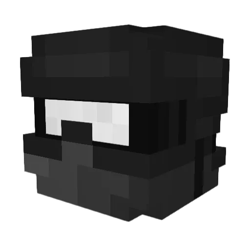 TaraBit Minecraft avatar head, 3D render