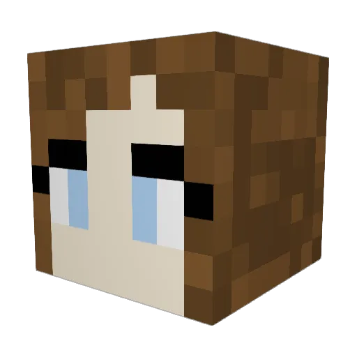 TaraRae Minecraft avatar head, 3D render
