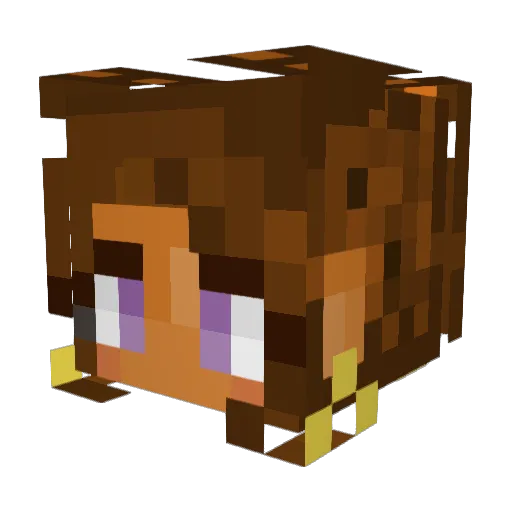 Tara_Misu Minecraft avatar head, 3D render
