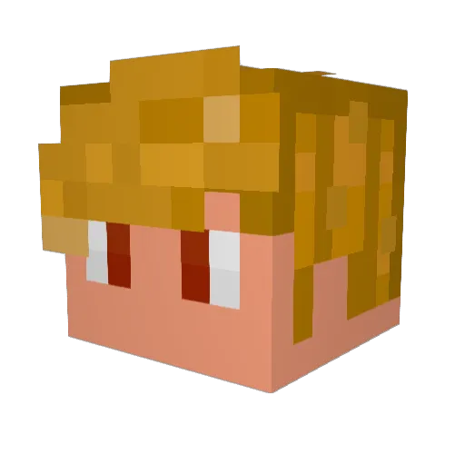 Tarabic Minecraft avatar head, 3D render