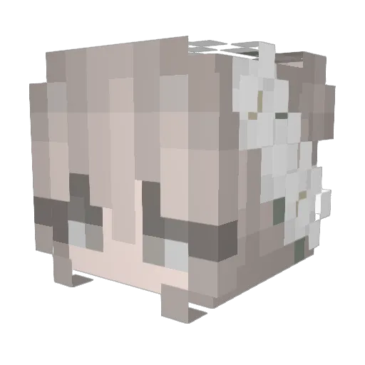 Taralgon Minecraft avatar head, 3D render