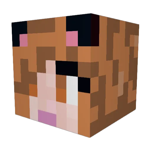 Tarami88 Minecraft avatar head, 3D render