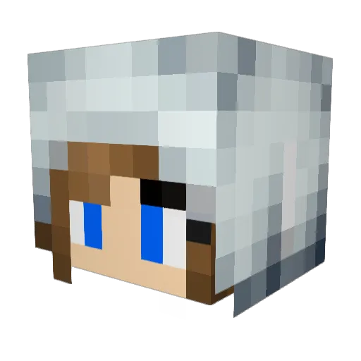 Taramis123 Minecraft avatar head, 3D render
