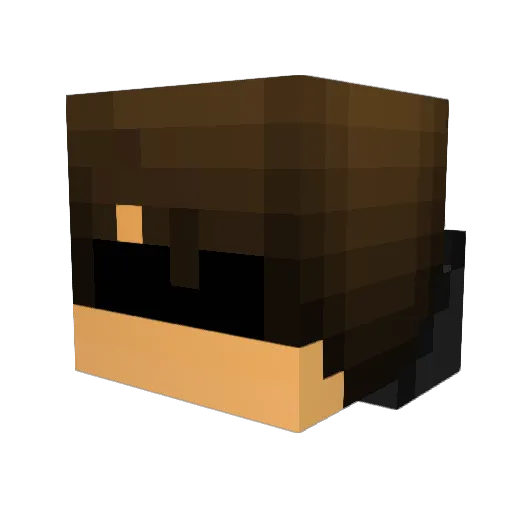Taran776 Minecraft avatar head, 3D render