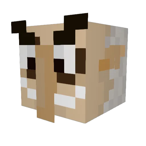 Taran_132 Minecraft avatar head, 3D render
