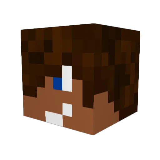 Taranaki13 Minecraft avatar head, 3D render