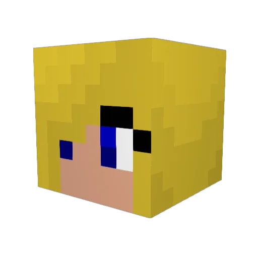 Tarapops Minecraft avatar head, 3D render