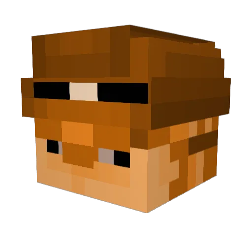 Tarar Minecraft avatar head, 3D render