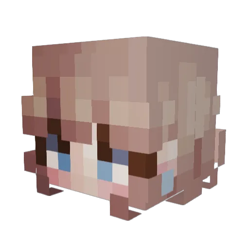 Tarczka Minecraft avatar head, 3D render