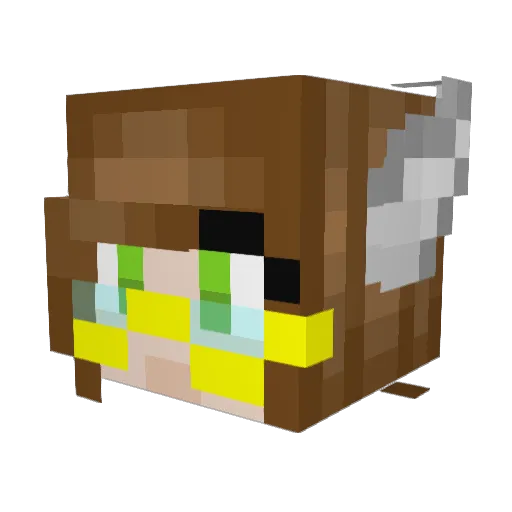 TardiFry Minecraft avatar head, 3D render