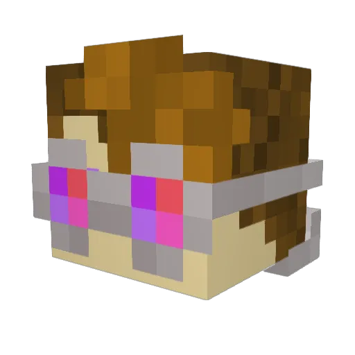 Tardigrade13 Minecraft avatar head, 3D render