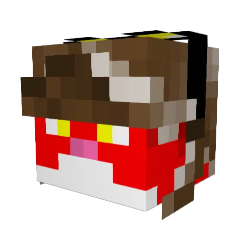 Tardis17 Minecraft avatar head, 3D render