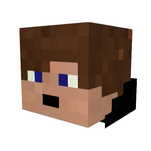 Tardis52 Minecraft avatar head, 3D render