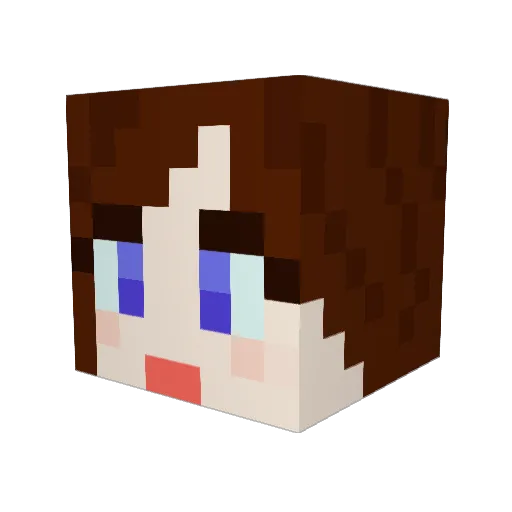 Tardisia Minecraft avatar head, 3D render