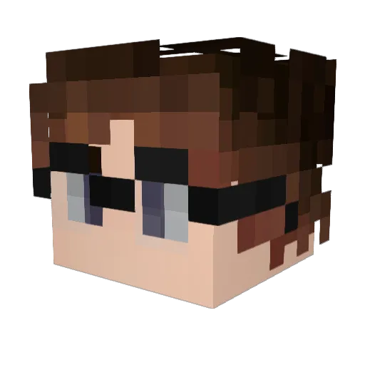 Tardiss Minecraft avatar head, 3D render