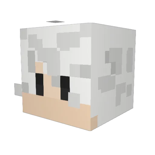 Tarexx Minecraft avatar head, 3D render