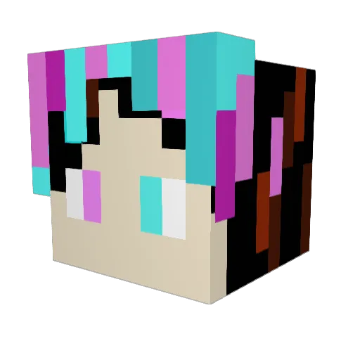 TargenTwinky Minecraft avatar head, 3D render