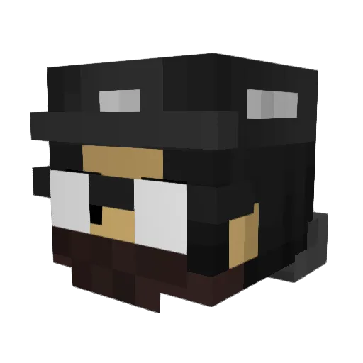 TargetUser Minecraft avatar head, 3D render