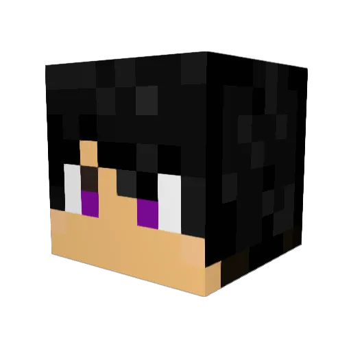 TargetiveChicken Minecraft avatar head, 3D render