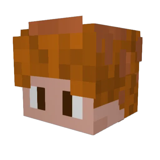 Tarinho Minecraft avatar head, 3D render