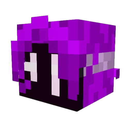 Tarka013 Minecraft avatar head, 3D render