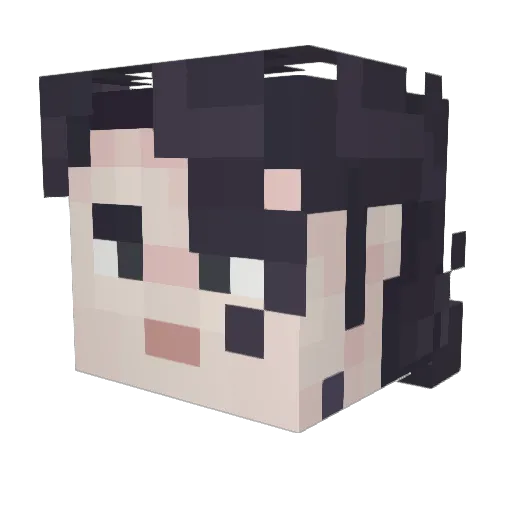 Tarkaras Minecraft avatar head, 3D render
