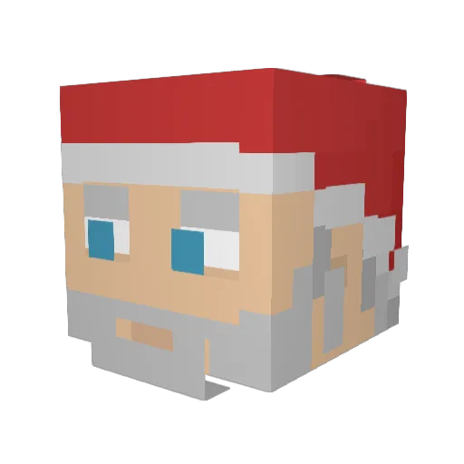 Tarkyn11 Minecraft avatar head, 3D render