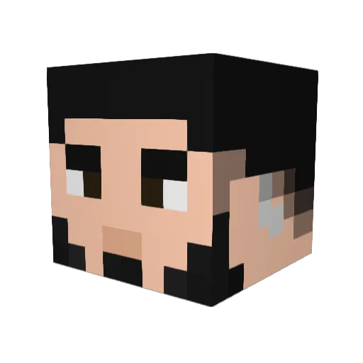 TarnoX12 Minecraft avatar head, 3D render