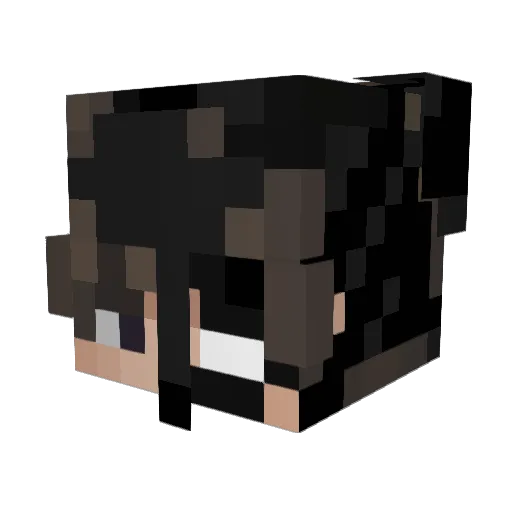 TaroX3 Minecraft avatar head, 3D render