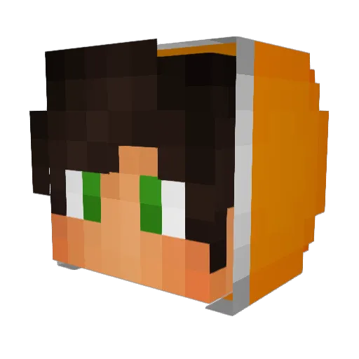 Tarobtw Minecraft avatar head, 3D render