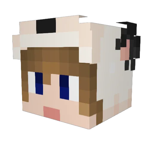 Taroin_KR Minecraft avatar head, 3D render