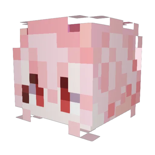 Taromonster Minecraft avatar head, 3D render