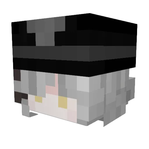TarooMc_ Minecraft avatar head, 3D render