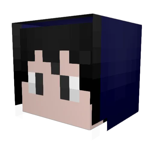 Taropon0820 Minecraft avatar head, 3D render