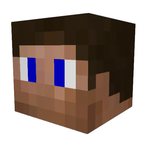 Tarouca Minecraft avatar head, 3D render