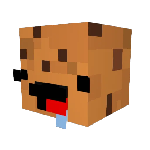 Tarranis Minecraft avatar head, 3D render