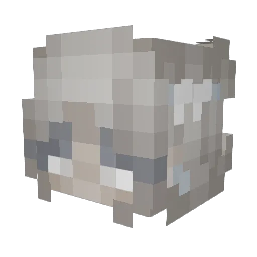 Tarrgo Minecraft avatar head, 3D render