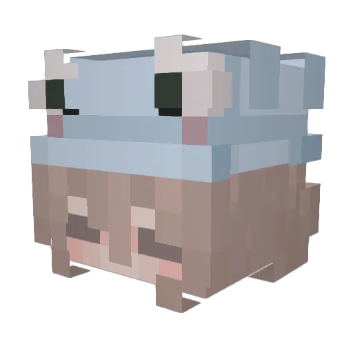 TarrierMedusa4 Minecraft avatar head, 3D render