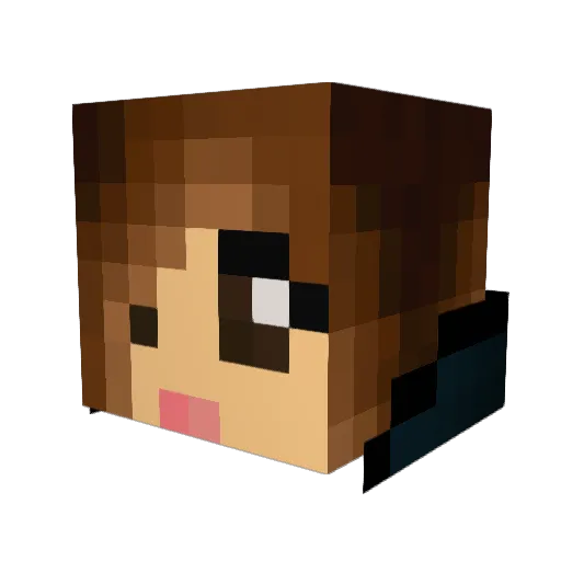 Tarrierpizza14 Minecraft avatar head, 3D render