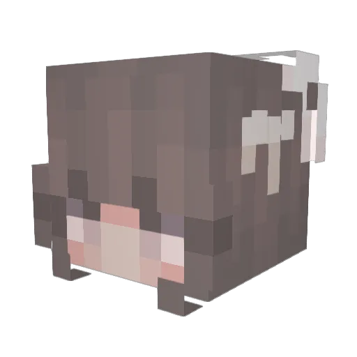 TarryMing Minecraft avatar head, 3D render