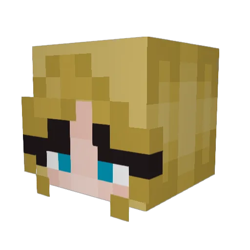 Tarryhyperion38 Minecraft avatar head, 3D render