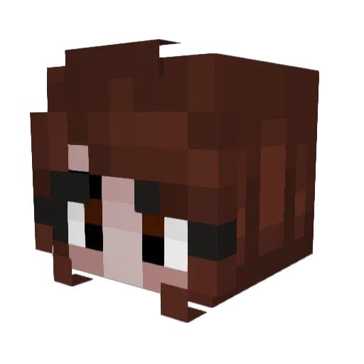 Tarsam Minecraft avatar head, 3D render
