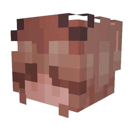 Tart_ness Minecraft avatar head, 3D render