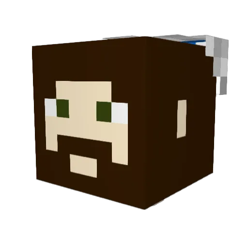Tartaak Minecraft avatar head, 3D render