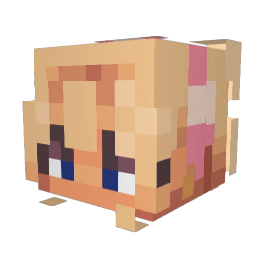 TartanSplash661 Minecraft avatar head, 3D render