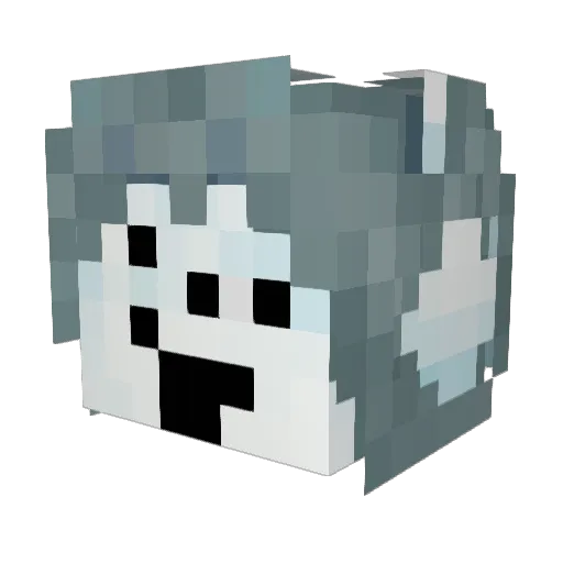 Tartimiel Minecraft avatar head, 3D render