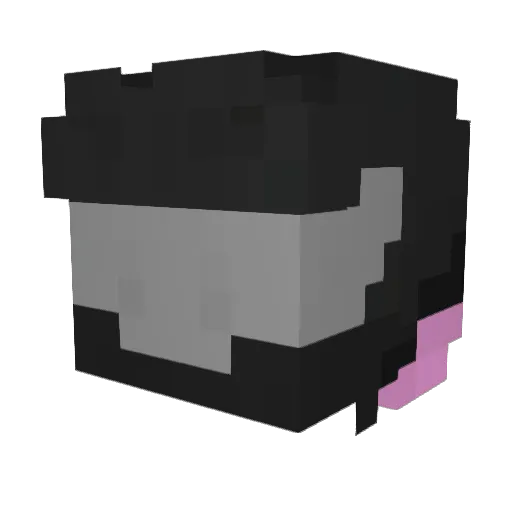 TartineAuxClous Minecraft avatar head, 3D render