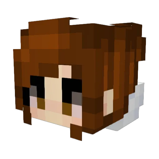 Tartsitter2 Minecraft avatar head, 3D render