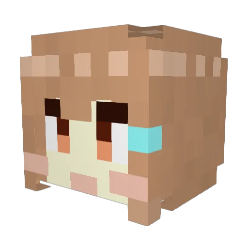 TaruHeim Minecraft avatar head, 3D render