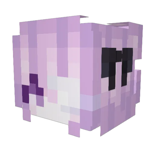 Tarula_ Minecraft avatar head, 3D render